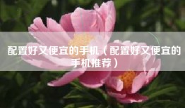 配置好又便宜的手机（配置好又便宜的手机推荐）