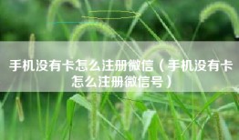 手机没有卡怎么注册微信（手机没有卡怎么注册微信号）