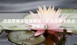 正品苹果手机哪里买（正品苹果手机去哪里买）