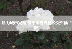 助力城市减碳 恒丰银行支持公交车换“新”