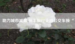 助力城市减碳 恒丰银行支持公交车换“新”