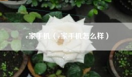 e家手机（e家手机怎么样）
