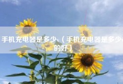 手机充电器是多少v（手机充电器是多少v的好）