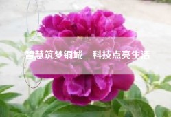 智慧筑梦铜城　科技点亮生活