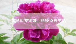 智慧筑梦铜城　科技点亮生活
