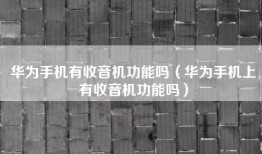 华为手机有收音机功能吗（华为手机上有收音机功能吗）