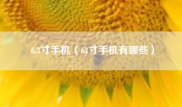6.3寸手机（63寸手机有哪些）