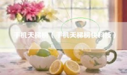 手机天梯榜（手机天梯榜快科技）