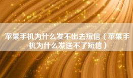 苹果手机为什么发不出去短信（苹果手机为什么发送不了短信）