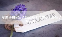 苹果手机id忘了怎么办（苹果手机ID忘了怎么办）