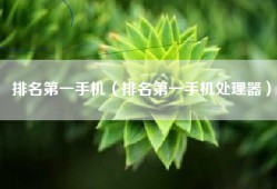 排名第一手机（排名第一手机处理器）