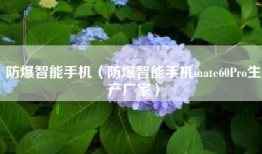 防爆智能手机（防爆智能手机mate60Pro生产厂家）