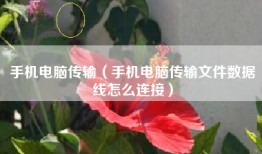 手机电脑传输（手机电脑传输文件数据线怎么连接）