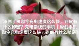原创手机如今充电速度这么快，到底有什么秘密？充电最快的手机「原创手机如今充电速度这么快，到底有什么秘密？」