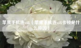 苹果手机连wifi（苹果手机连wifi卡顿是什么原因）