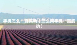 手机怎么一直振动（怎么用手机一直震动）
