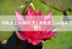 手机连上wifi用不了（手机连上wifi用不了网）