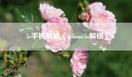 5s手机解锁（iphone5s解锁）
