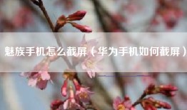 魅族手机怎么截屏（华为手机如何截屏）