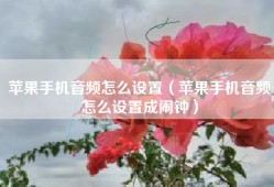 苹果手机音频怎么设置（苹果手机音频怎么设置成闹钟）