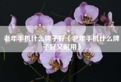 老年手机什么牌子好（老年手机什么牌子好又耐用）