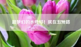 超梦幻的水母灯！就在五卅路