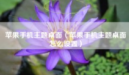 苹果手机主题桌面（苹果手机主题桌面怎么设置）