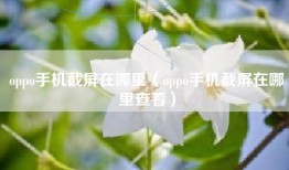 oppo手机截屏在哪里（oppo手机截屏在哪里查看）