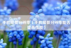 手机降低分辨率（手机降低分辨率能否提高性能）