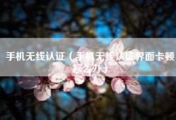 手机无线认证（手机无线认证界面卡顿怎么办）