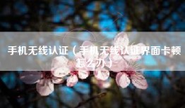手机无线认证（手机无线认证界面卡顿怎么办）