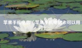 苹果手机电信（苹果手机电信卡可以用吗）