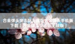 合金弹头突击队无敌版合金弹头手机版下载「合金弹头突击队无敌版」