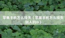 苹果手机怎么挂失（苹果手机怎么挂失别人的ID）