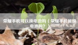 荣耀手机可以换电池吗（荣耀手机能换电池吗？）
