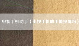 电视手机助手（电视手机助手能投屏吗）
