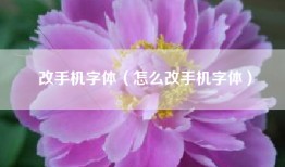 改手机字体（怎么改手机字体）