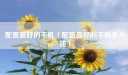 配置最好的手机（配置最好的手机多少钱）
