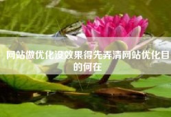 网站做优化没效果得先弄清网站优化目的何在