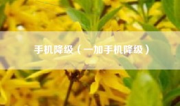 手机降级（一加手机降级）