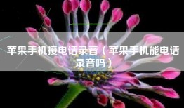 苹果手机接电话录音（苹果手机能电话录音吗）