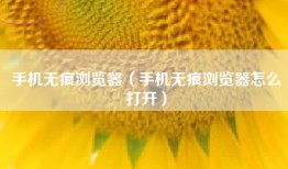 手机无痕浏览器（手机无痕浏览器怎么打开）