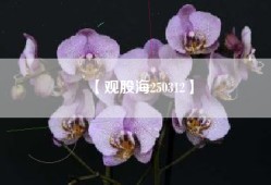 【观股海250312】