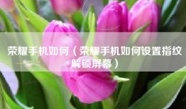 荣耀手机如何（荣耀手机如何设置指纹解锁屏幕）