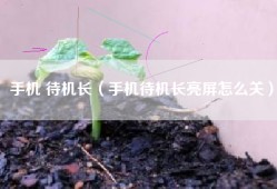 手机 待机长（手机待机长亮屏怎么关）