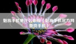 魅族手机是什么系统（魅族手机官方网查找手机）