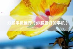 炒股手机推荐（炒股最好的手机）