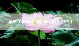 苹果手机保密（苹果手机保密性）