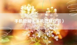 手机隐藏（手机隐藏安装）