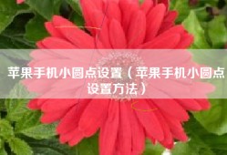 苹果手机小圆点设置（苹果手机小圆点设置方法）